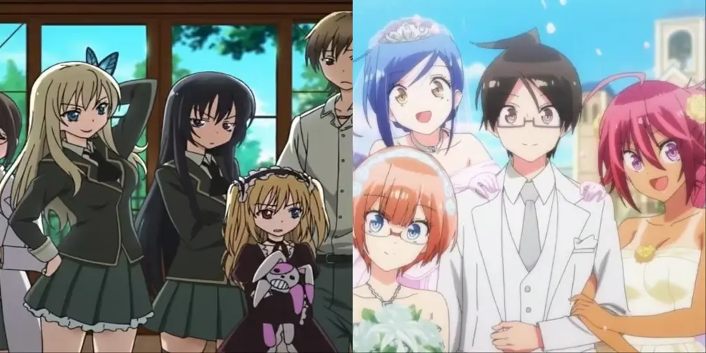 Daftar rekomendasi anime harem terbaik Rekomendasi anime harem terbaik